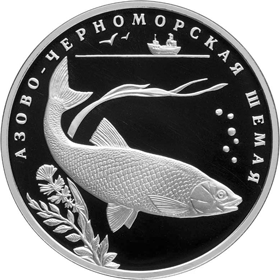Ruská pamětní mince