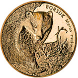 Polsko pamětní mince Jezevec lesní